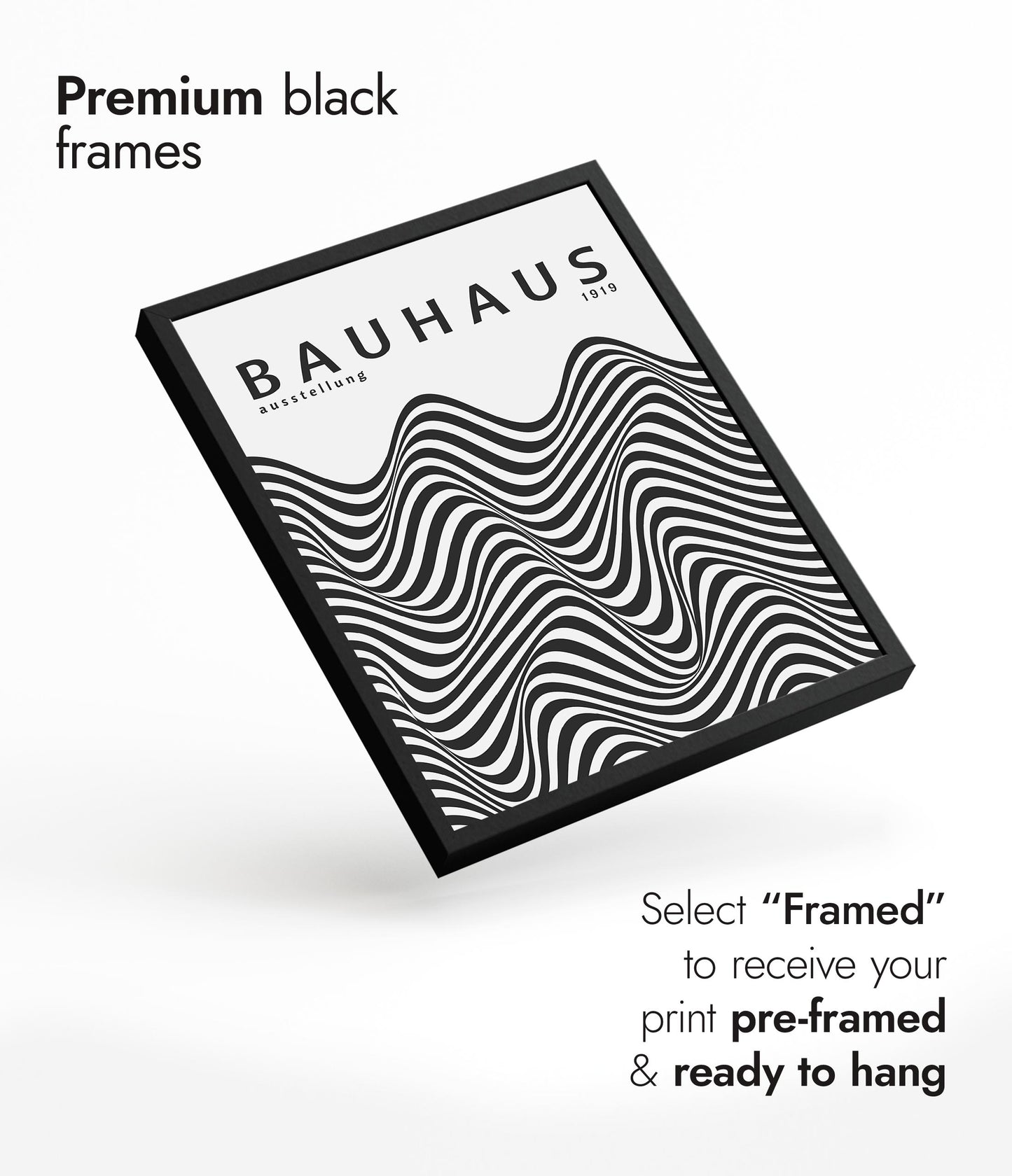 Black & White Zebra Stripes