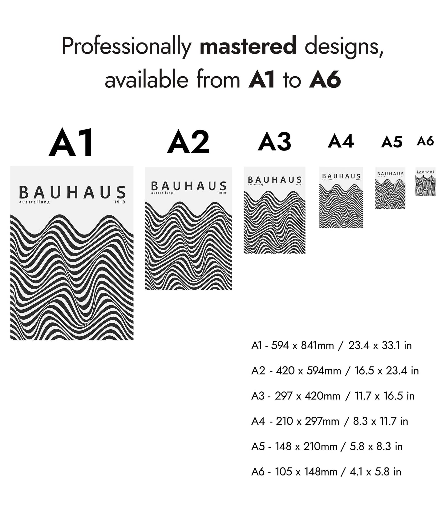 Black & White Zebra Stripes