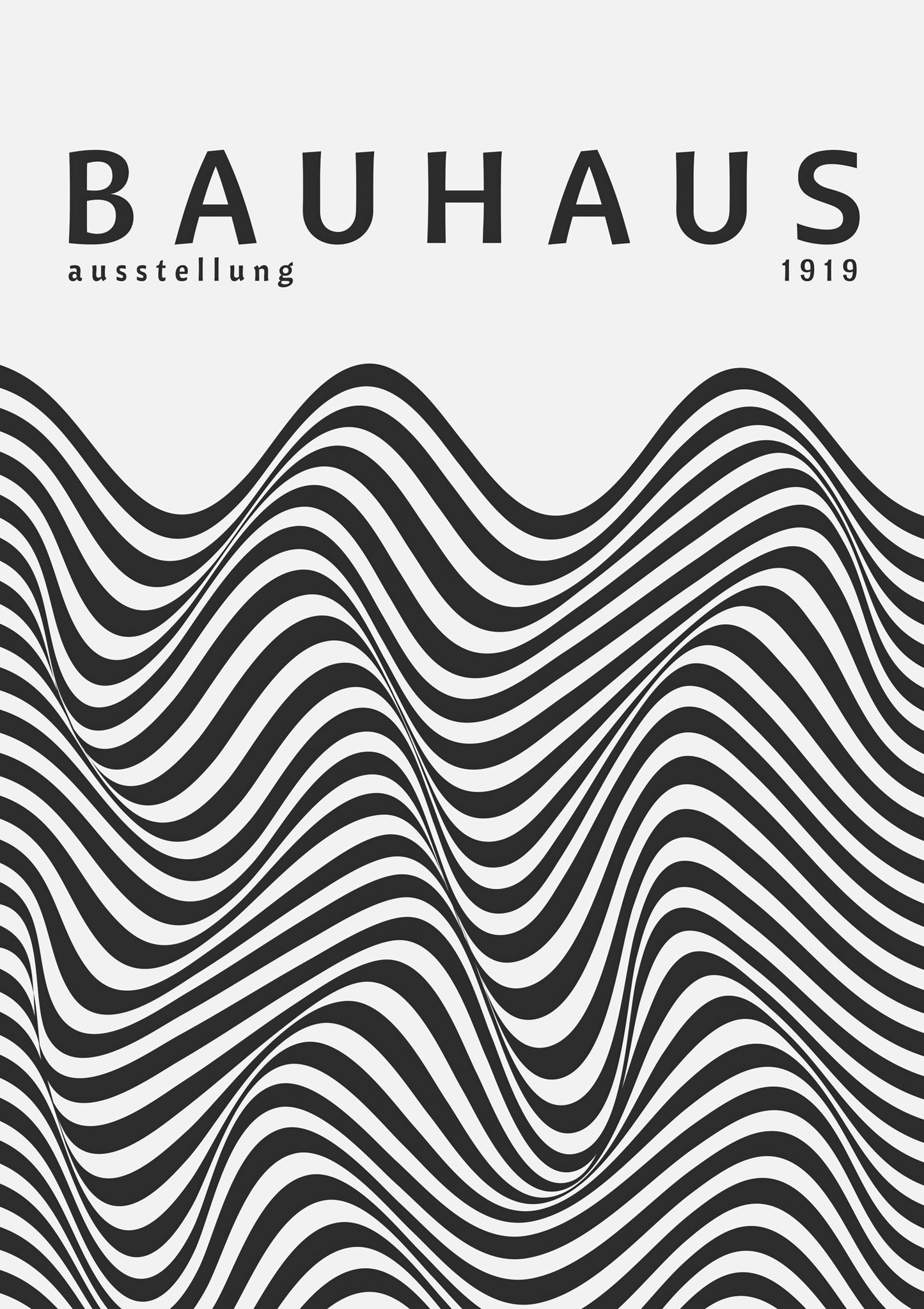 Black & White Zebra Stripes