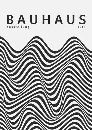 Black & White Zebra Stripes print