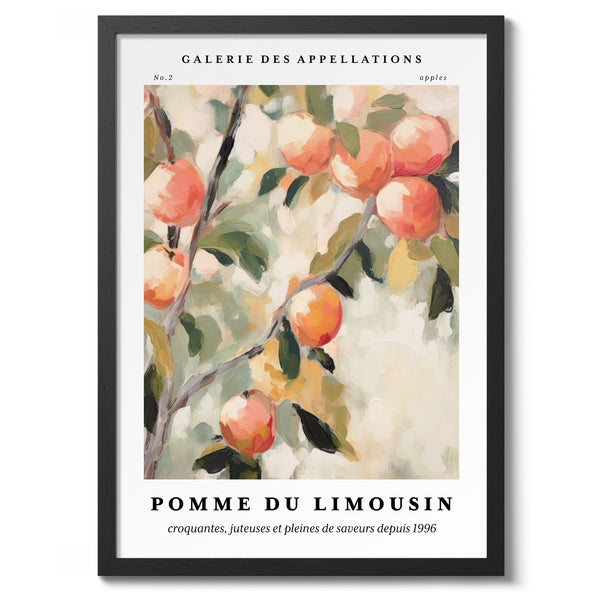 Apples - Limousin