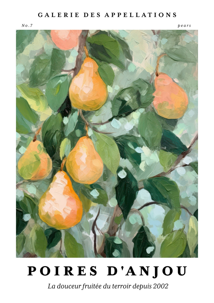 Poires - Anjou - Print Only frame