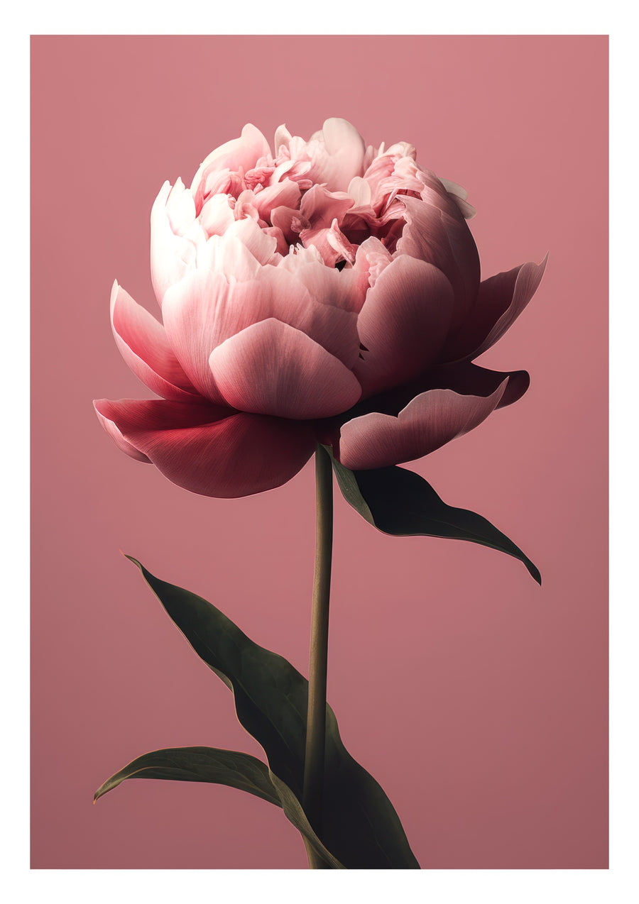 Pion - Print Only frame