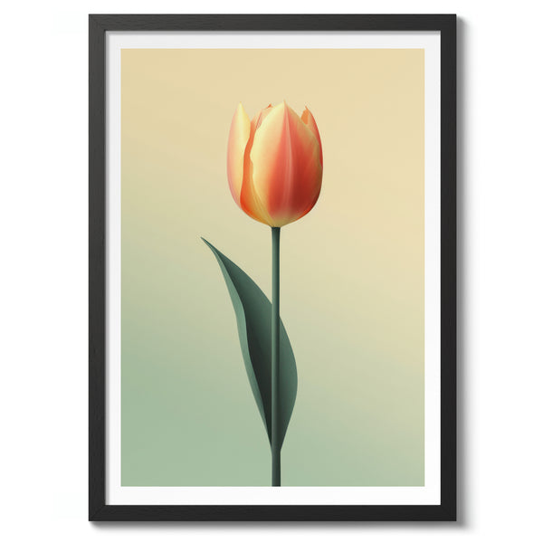 Tulip