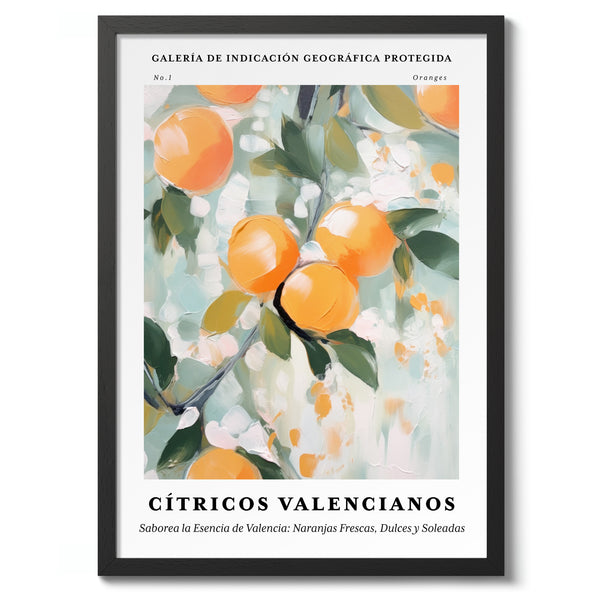 Oranges - Valencia