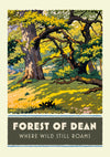 Forest of Dean print