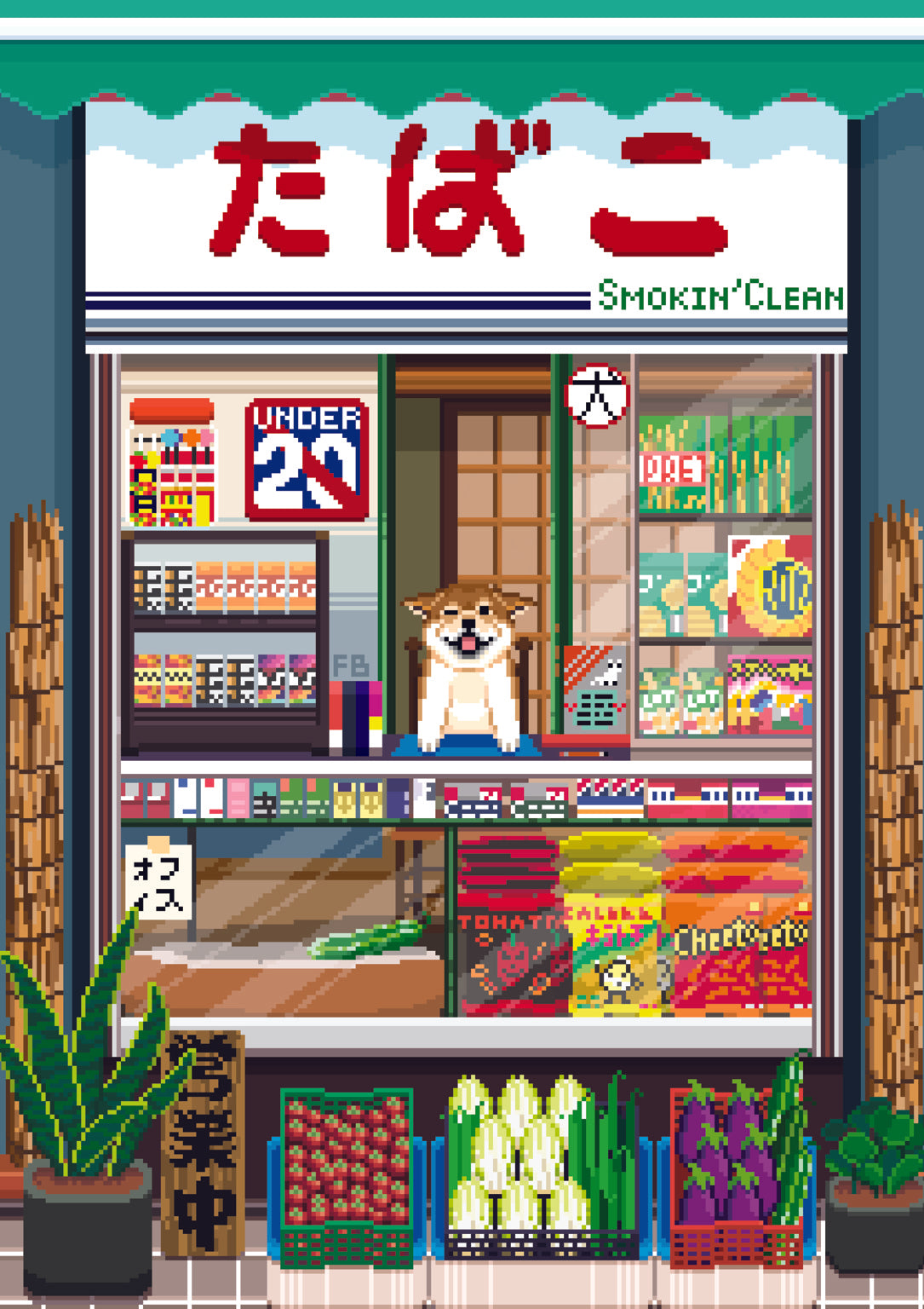 The Unusual Shopkeeper