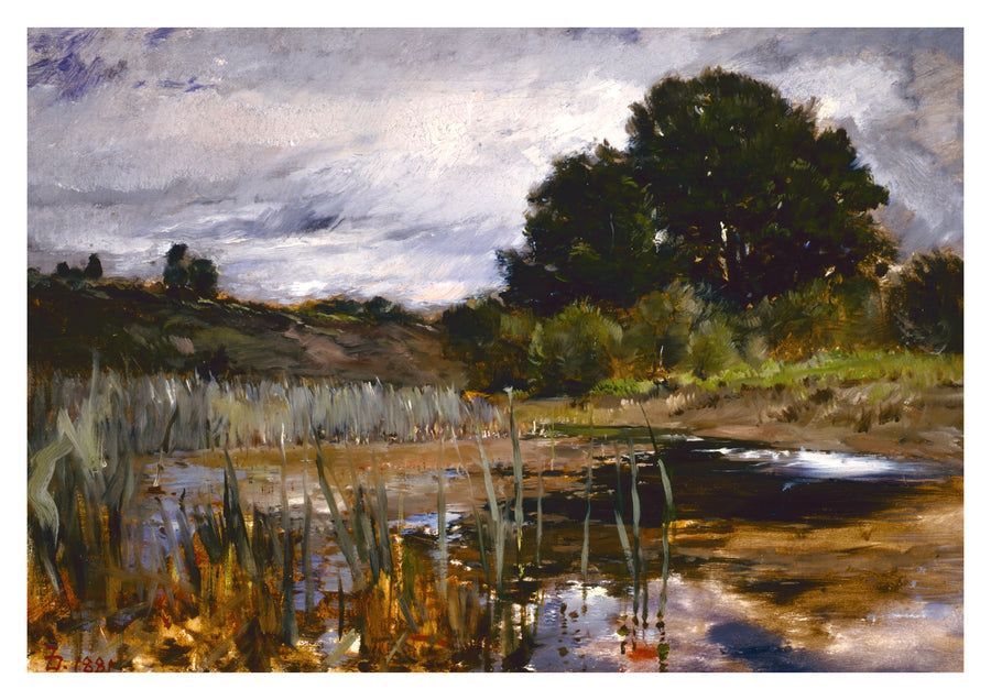 Peilingslandschap - Print Only frame