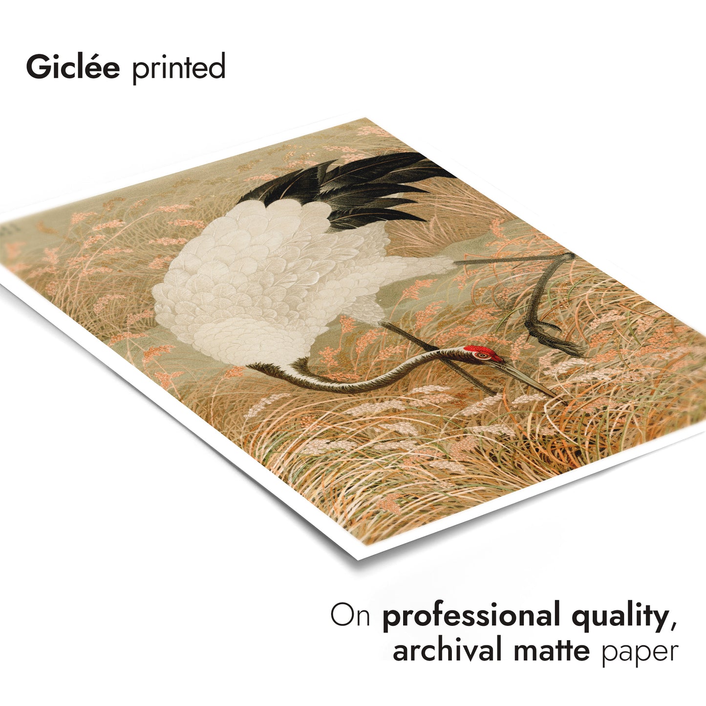 Saruskran i en risåker