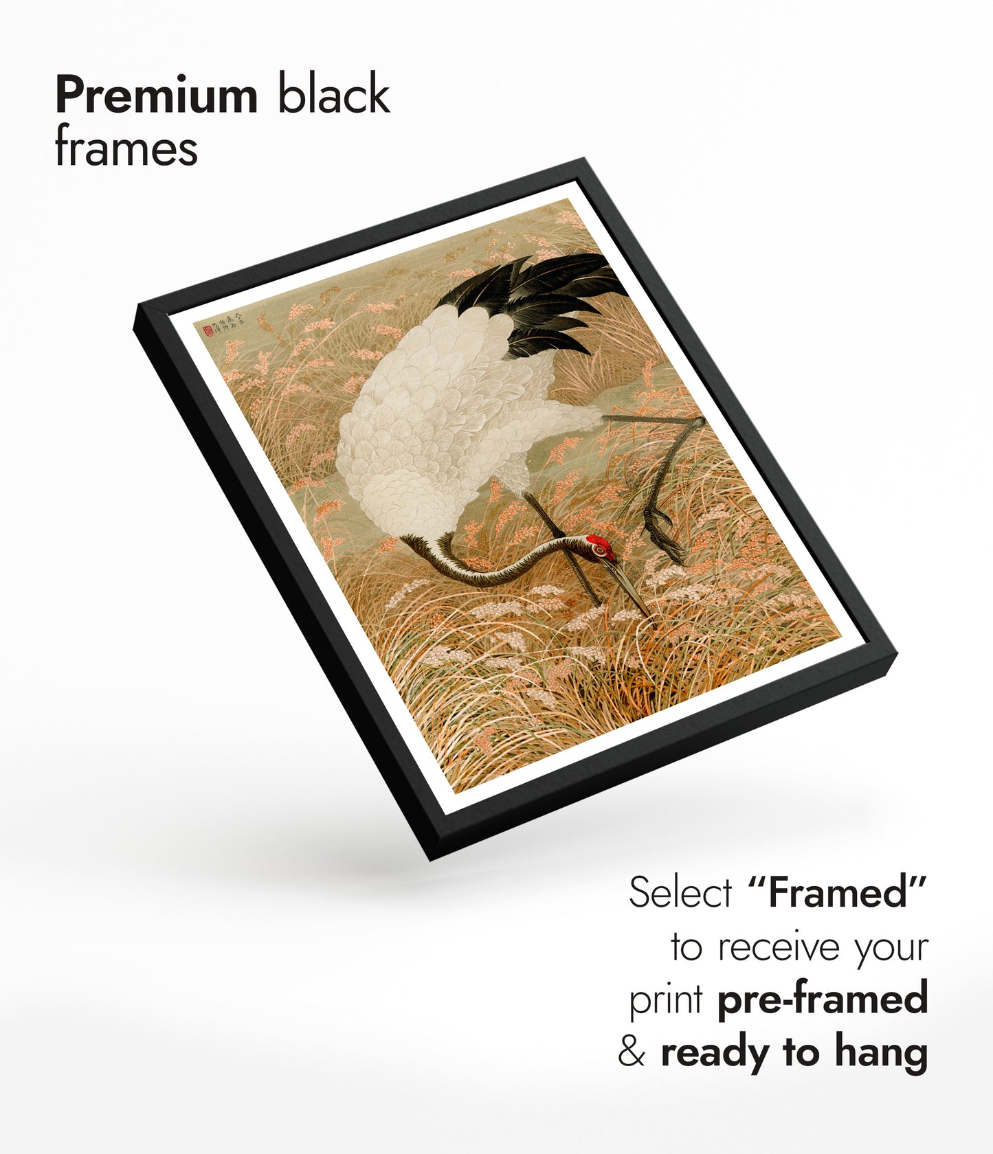 Saruskran i en risåker