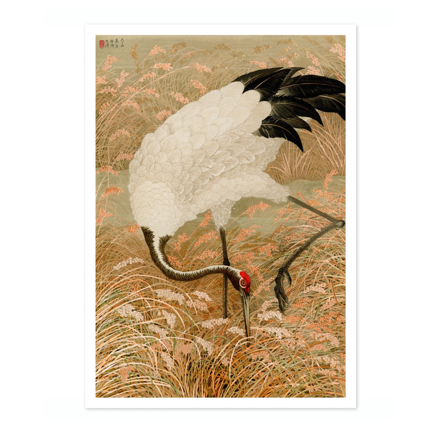 Saruskran i en risåker