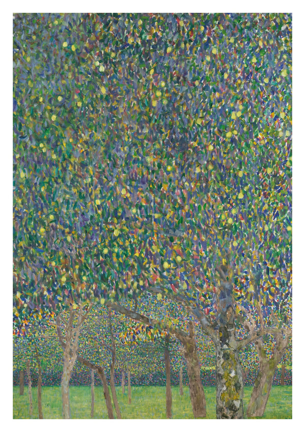 Pear Tree