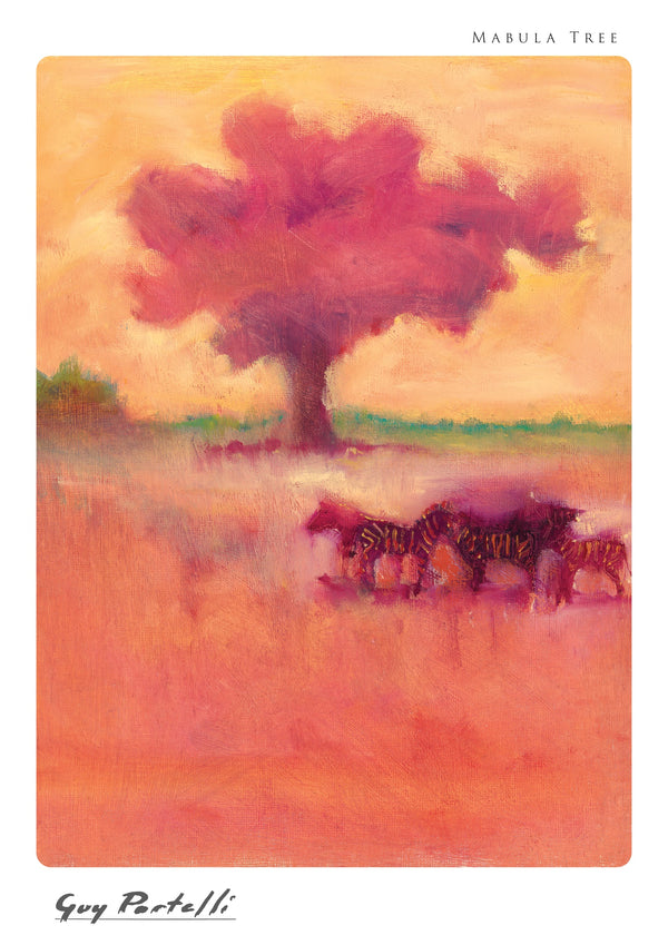 Mabula Tree