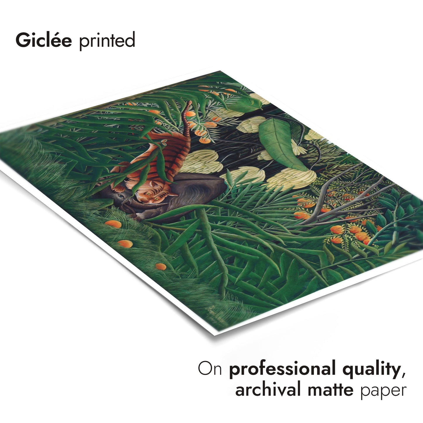 Combat entre un tigre et un buffle