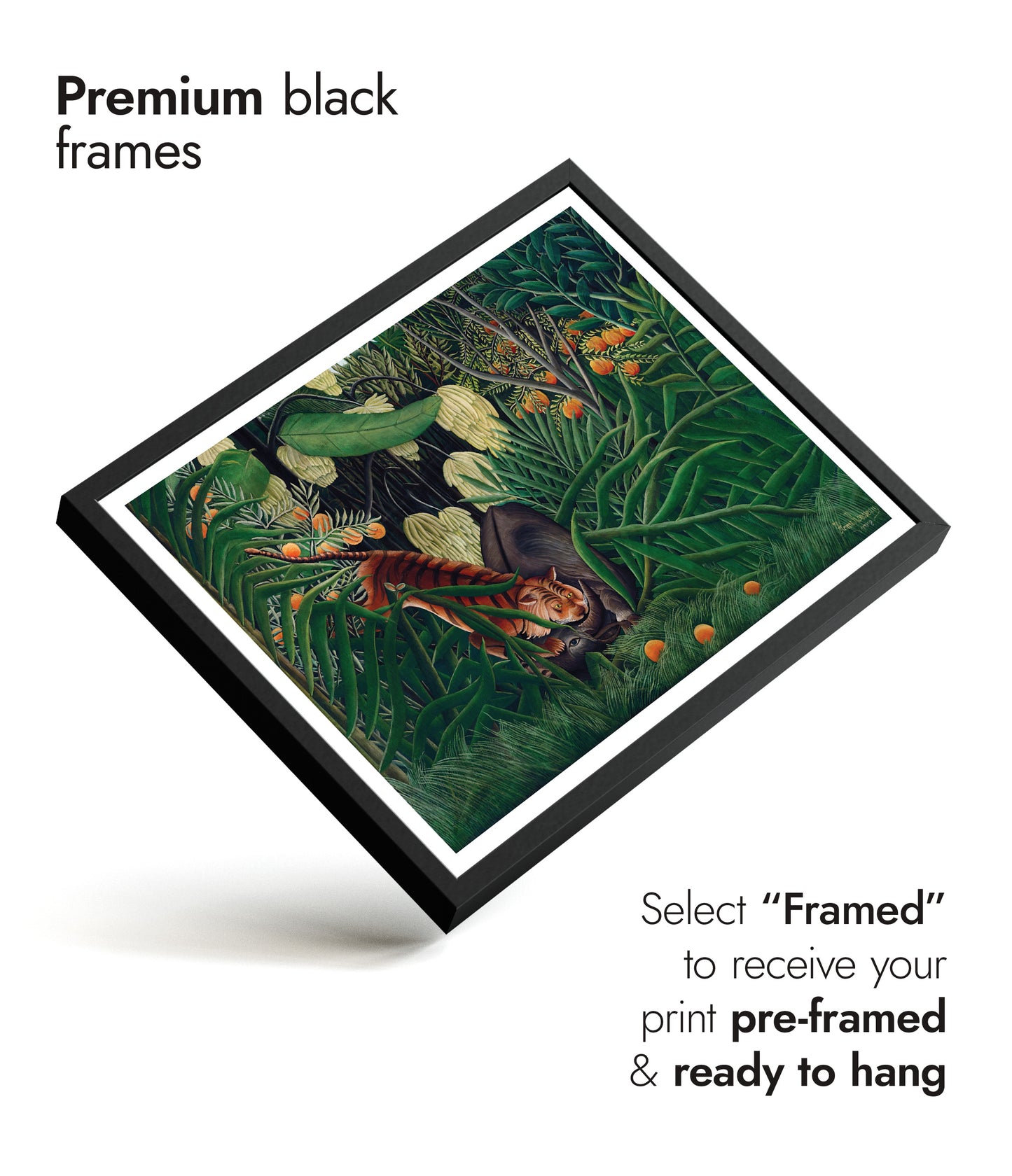 Combat entre un tigre et un buffle