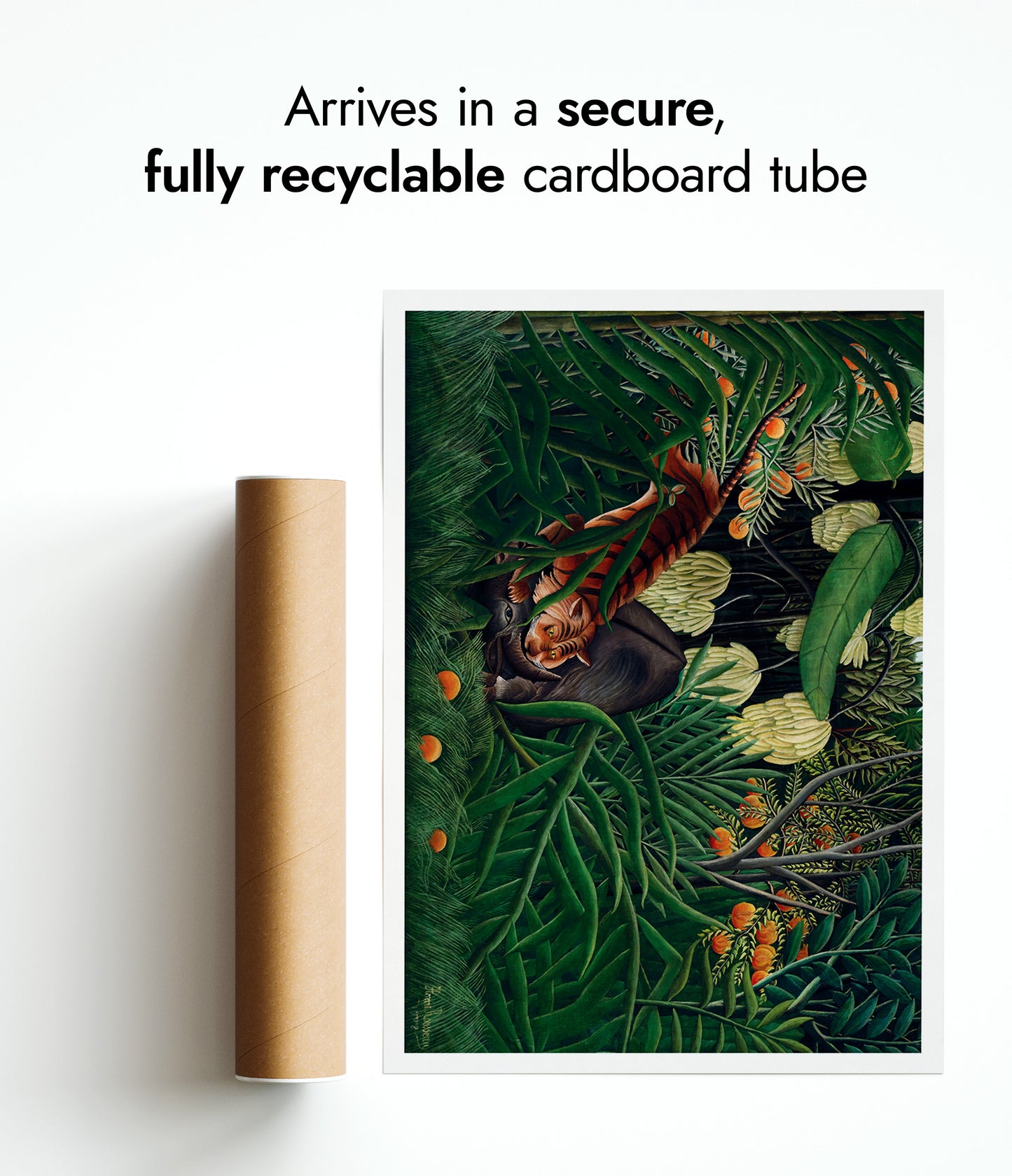 Combat entre un tigre et un buffle