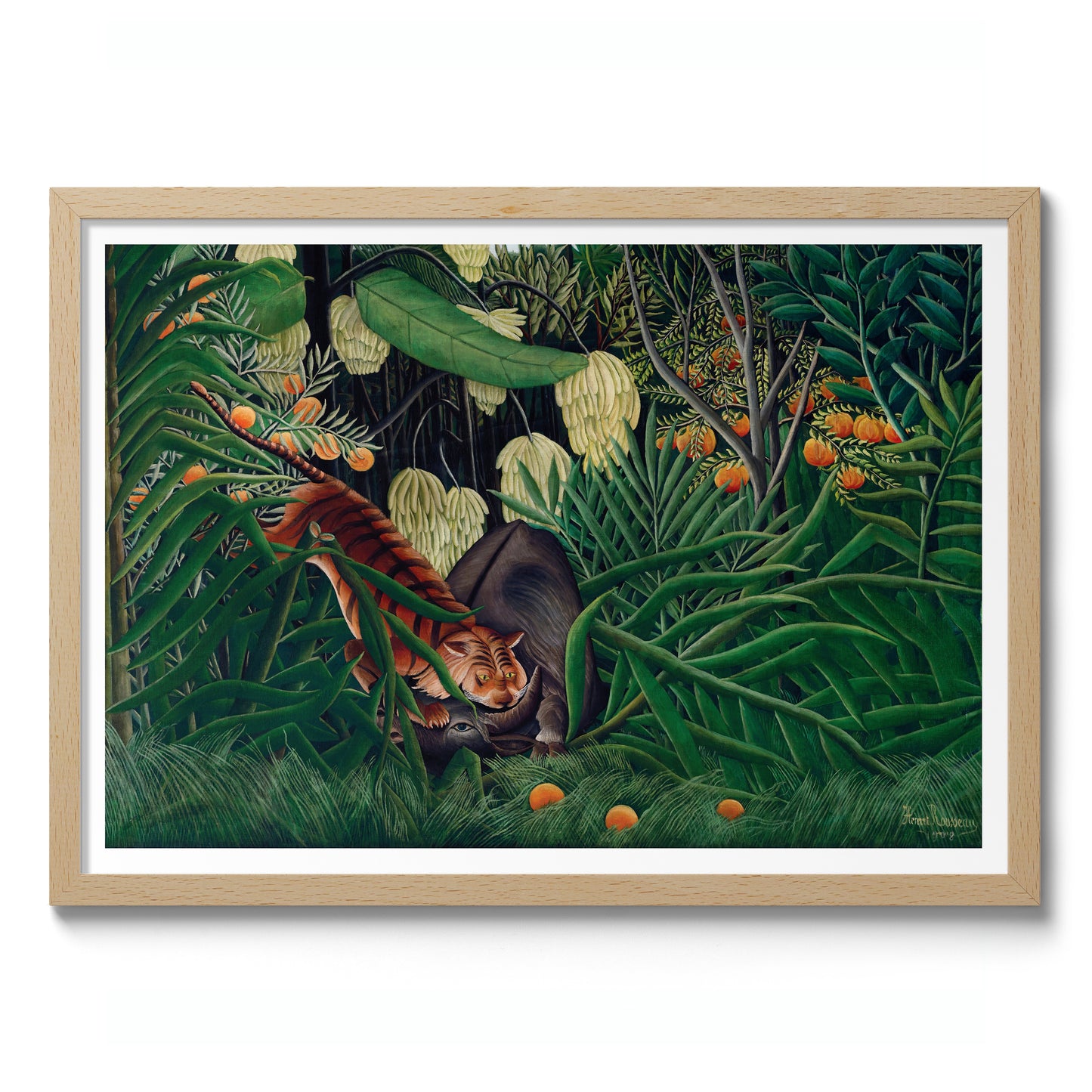 Combat entre un tigre et un buffle