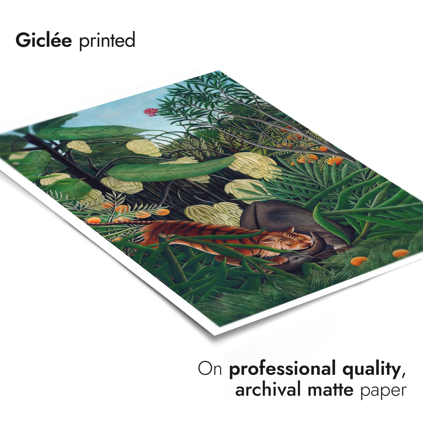 Fajt mellan en tiger och en buffel