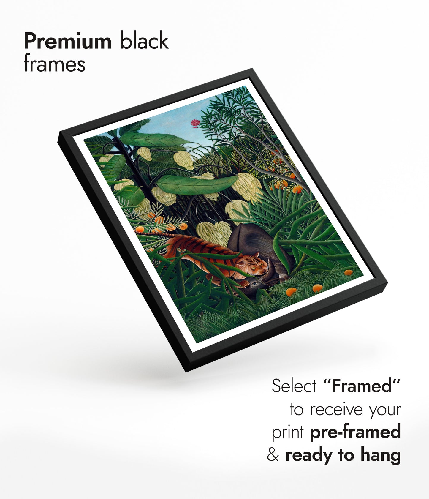 Fajt mellan en tiger och en buffel