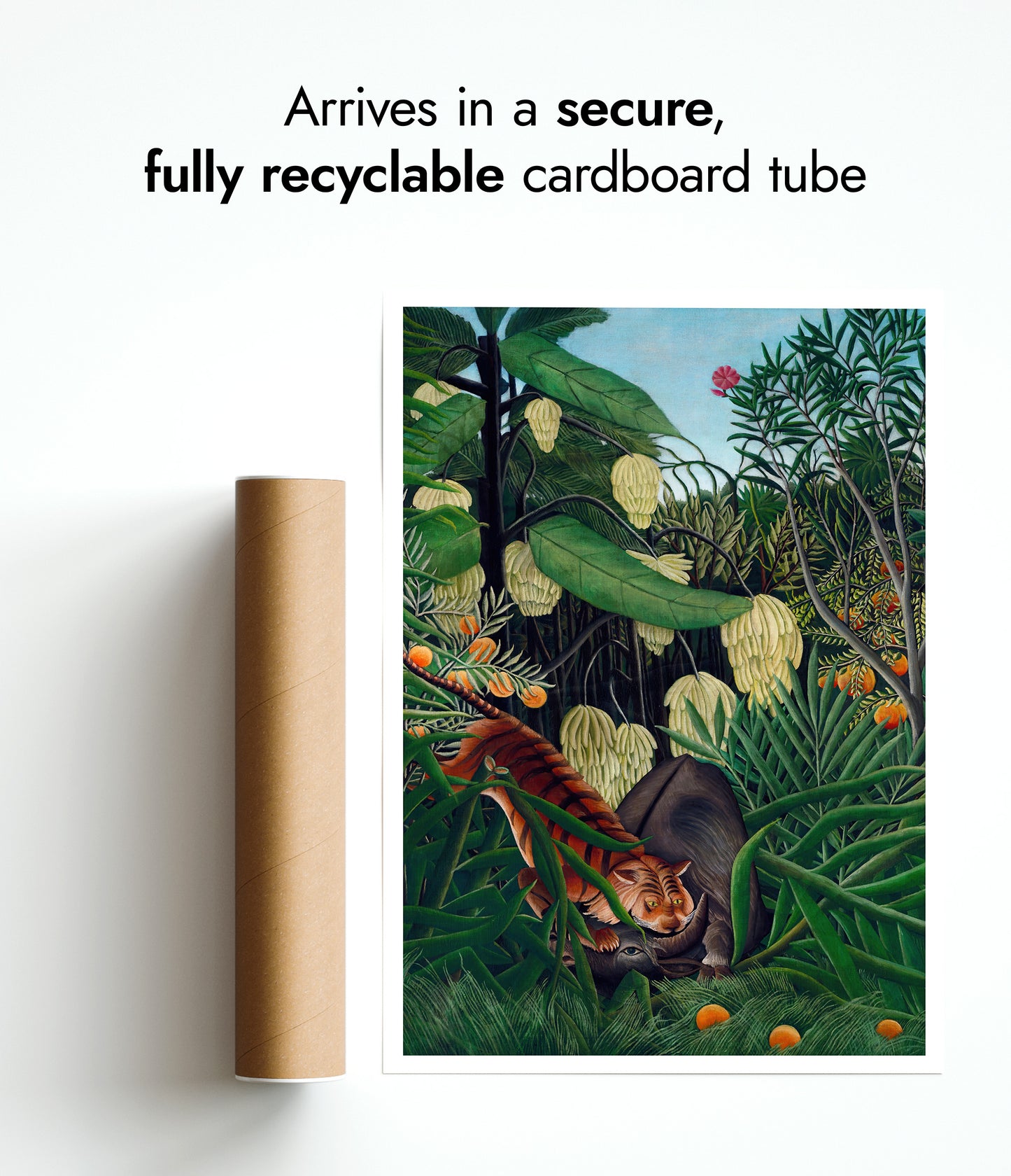 Fajt mellan en tiger och en buffel