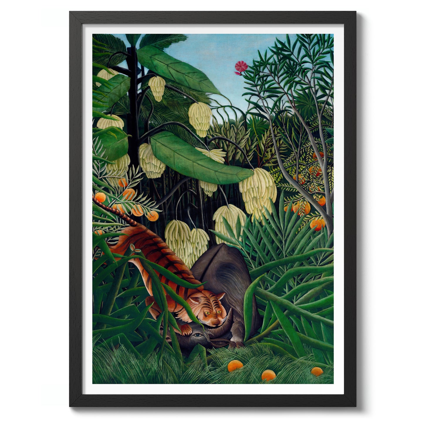 Fajt mellan en tiger och en buffel