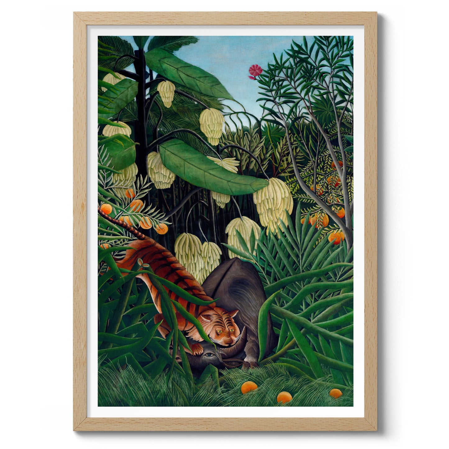 Fajt mellan en tiger och en buffel