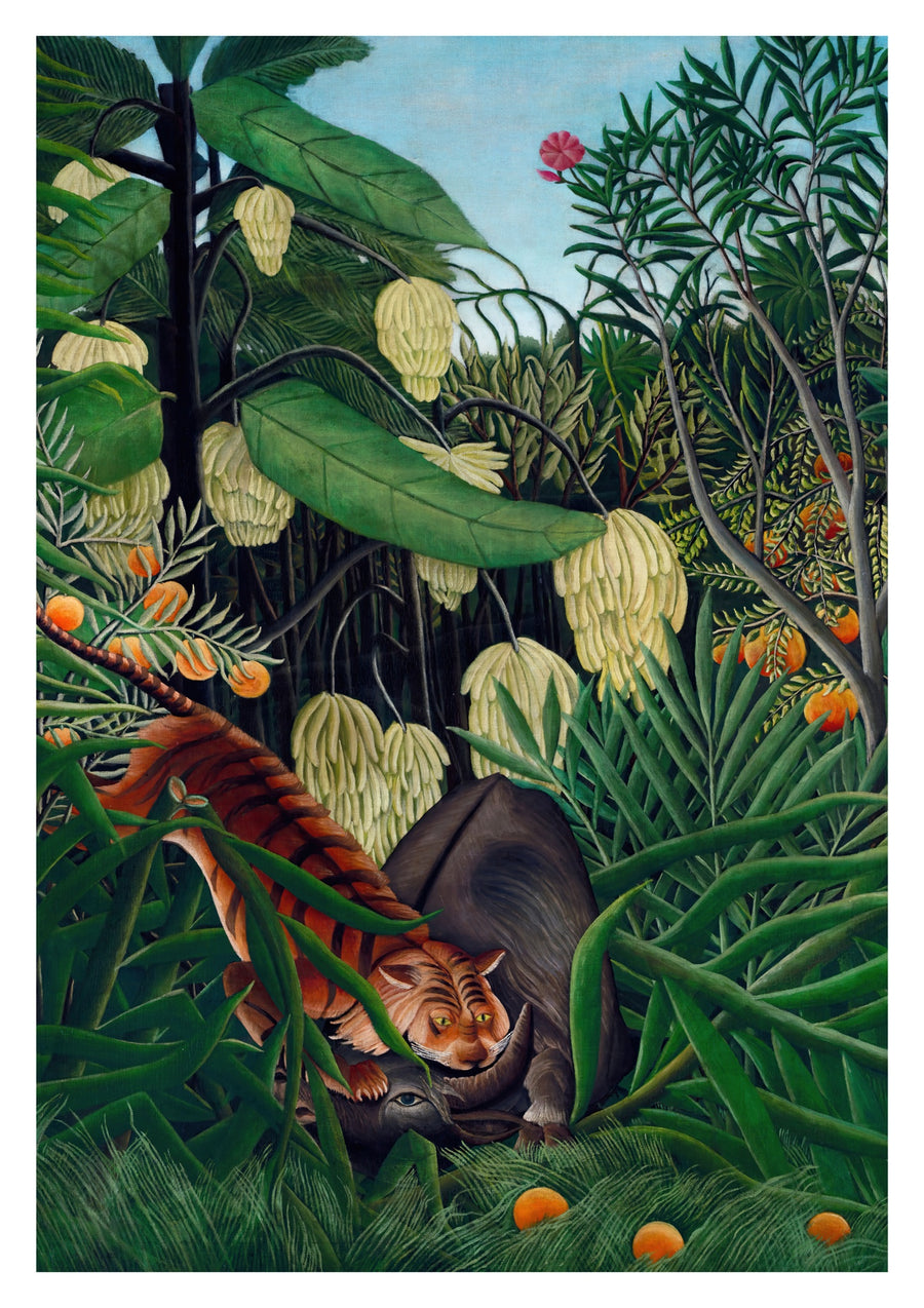 Fajt mellan en tiger och en buffel - Print Only frame
