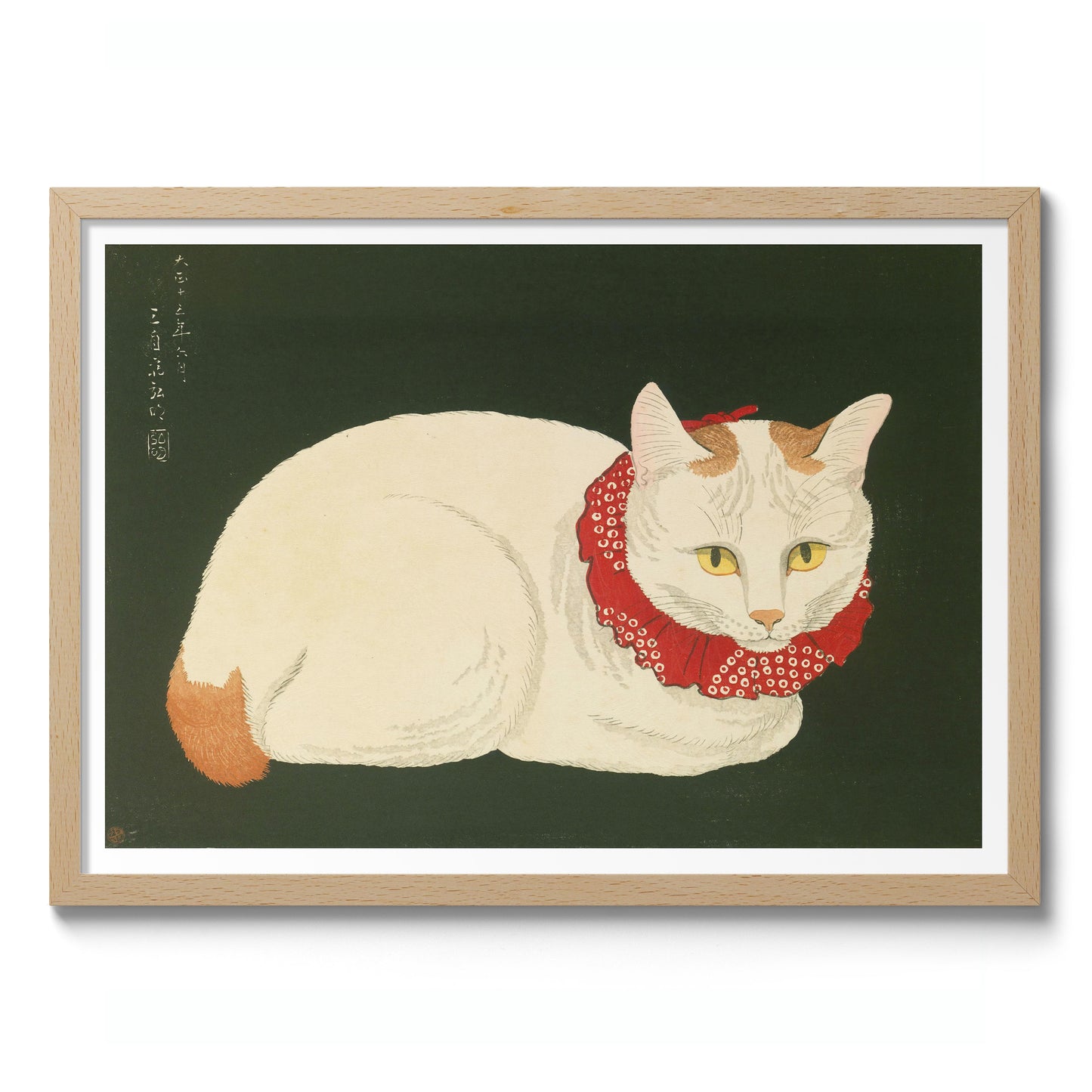 Shironeko (White Cat)