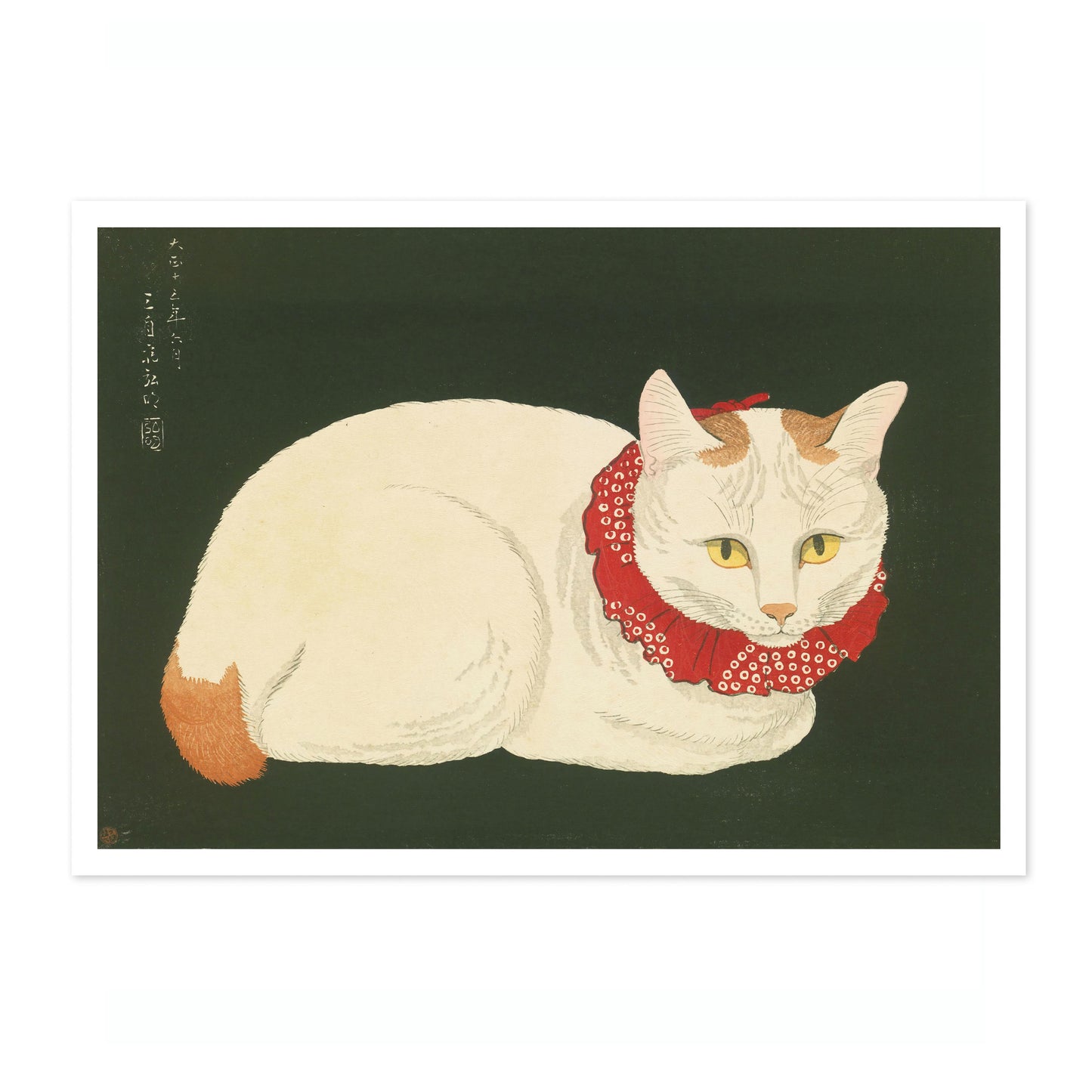 Shironeko (White Cat)