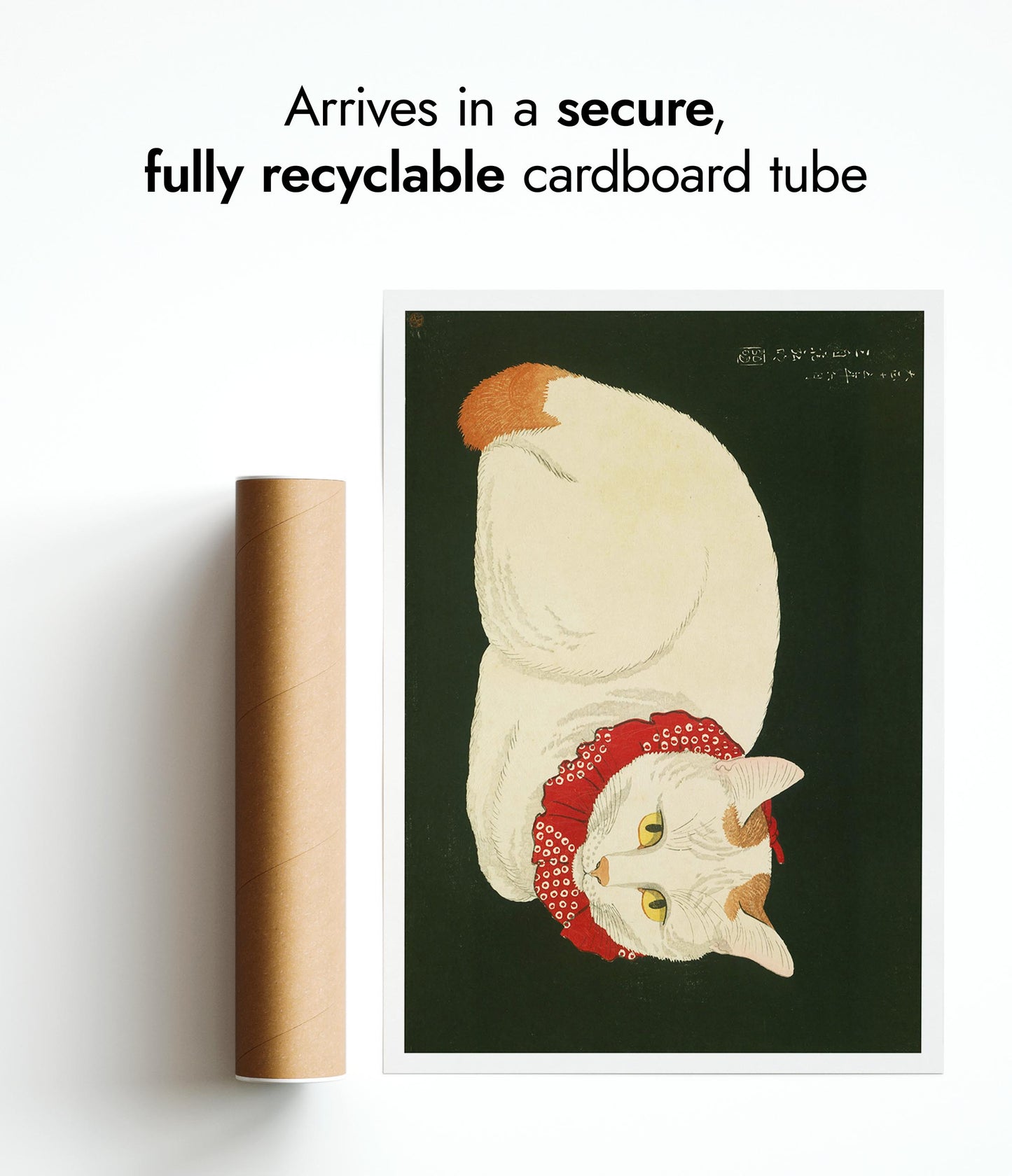 Shironeko (White Cat)