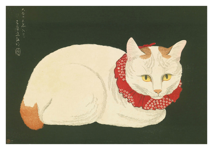 Shironeko (Vitt katt) - Print Only frame