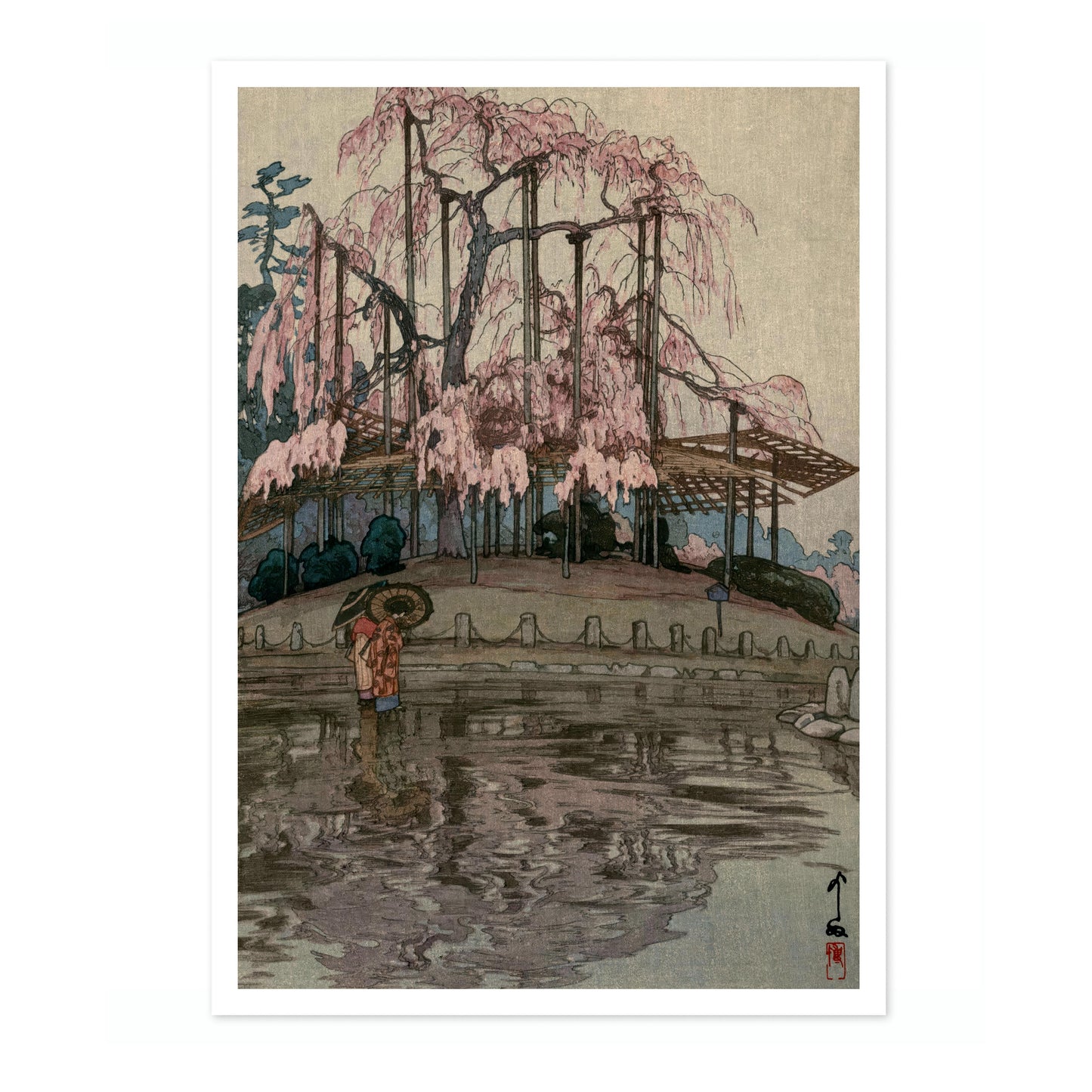 Cherry Blossoms, Spring Rain