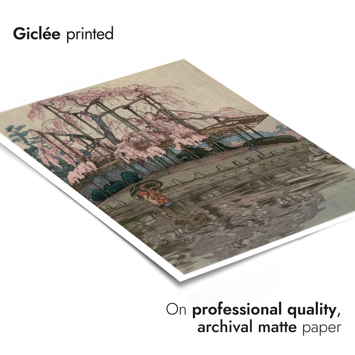 Cherry Blossoms, Spring Rain