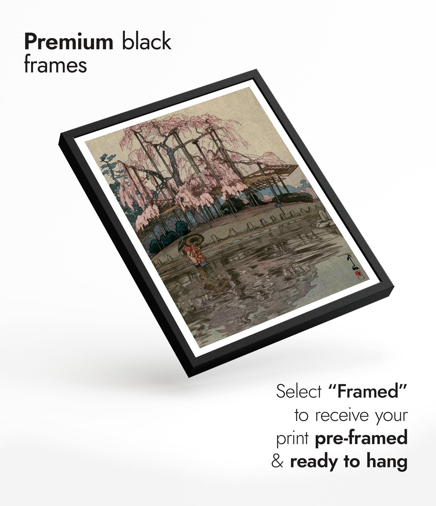 Cherry Blossoms, Spring Rain