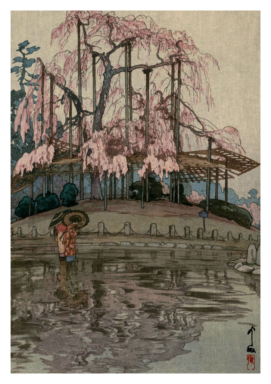 Kirschblüten, Frühlingsregen - Print Only frame