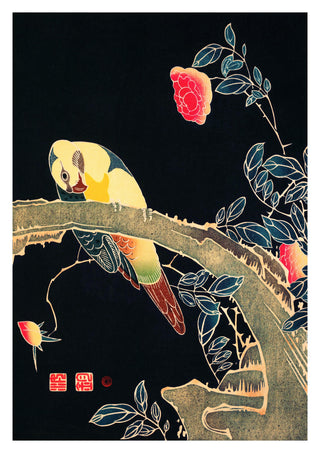 Papegoja på en gren print