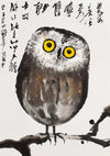 Owl print