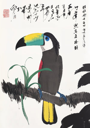 Toucan