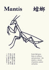 Mantis print