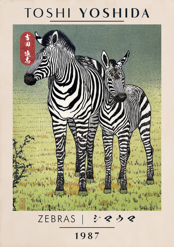 Zebras