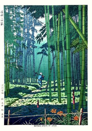 Bamboo Grove of Saga