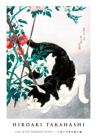 Katt med tomatplanta print