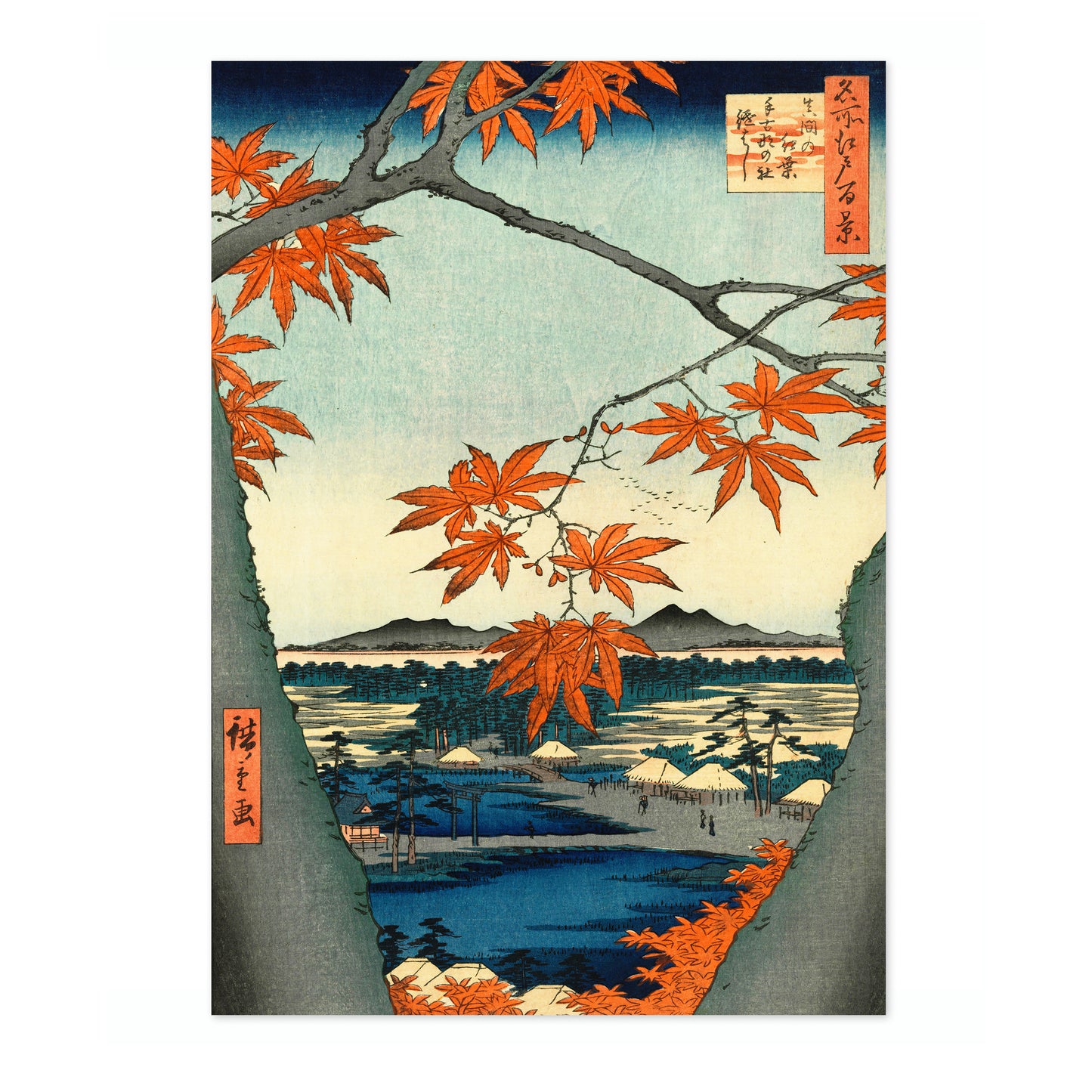 Esdoornbomen bij Mama