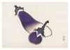 Eggplants print