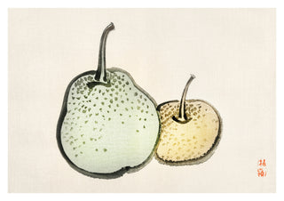 Asian Pears print