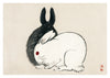 Black and White Rabbits print
