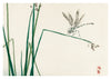 Dragonfly on Bulrush Leaf print