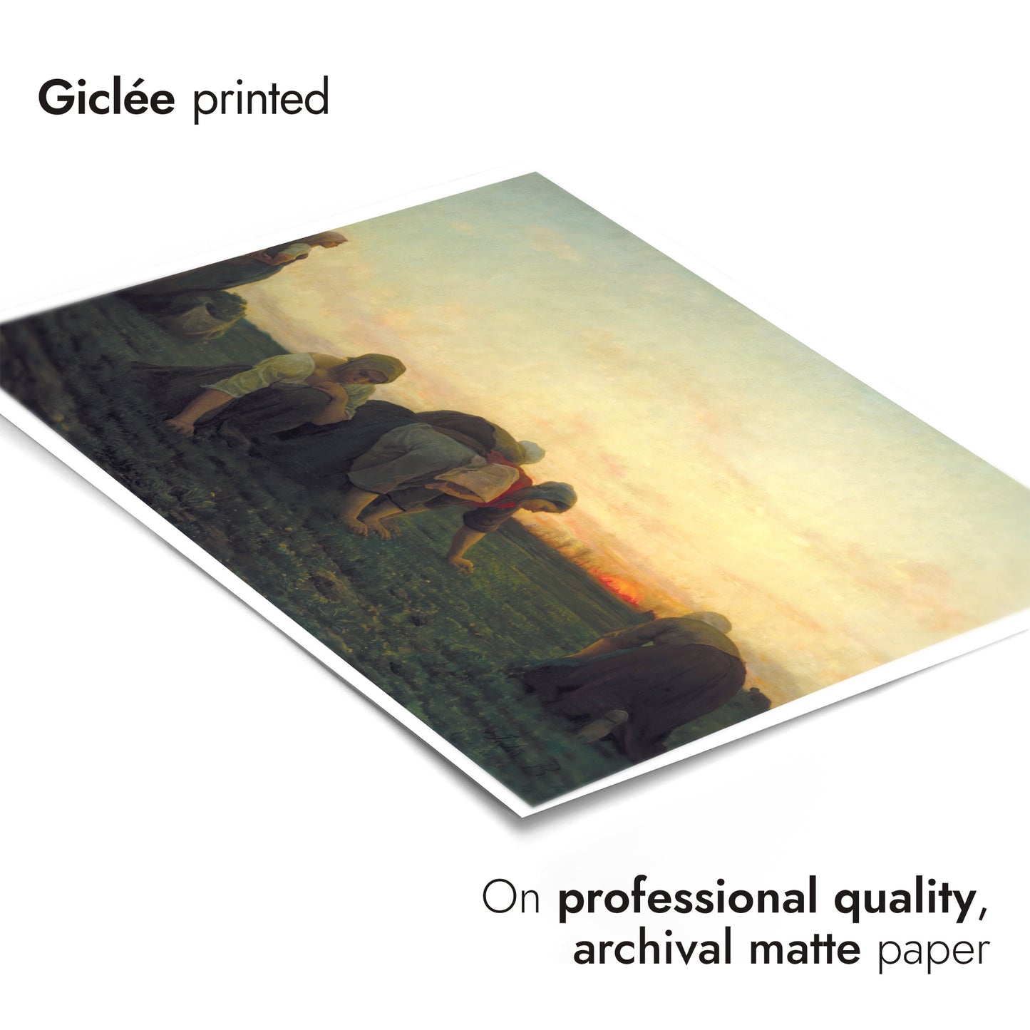 De Onkruidverdelgers