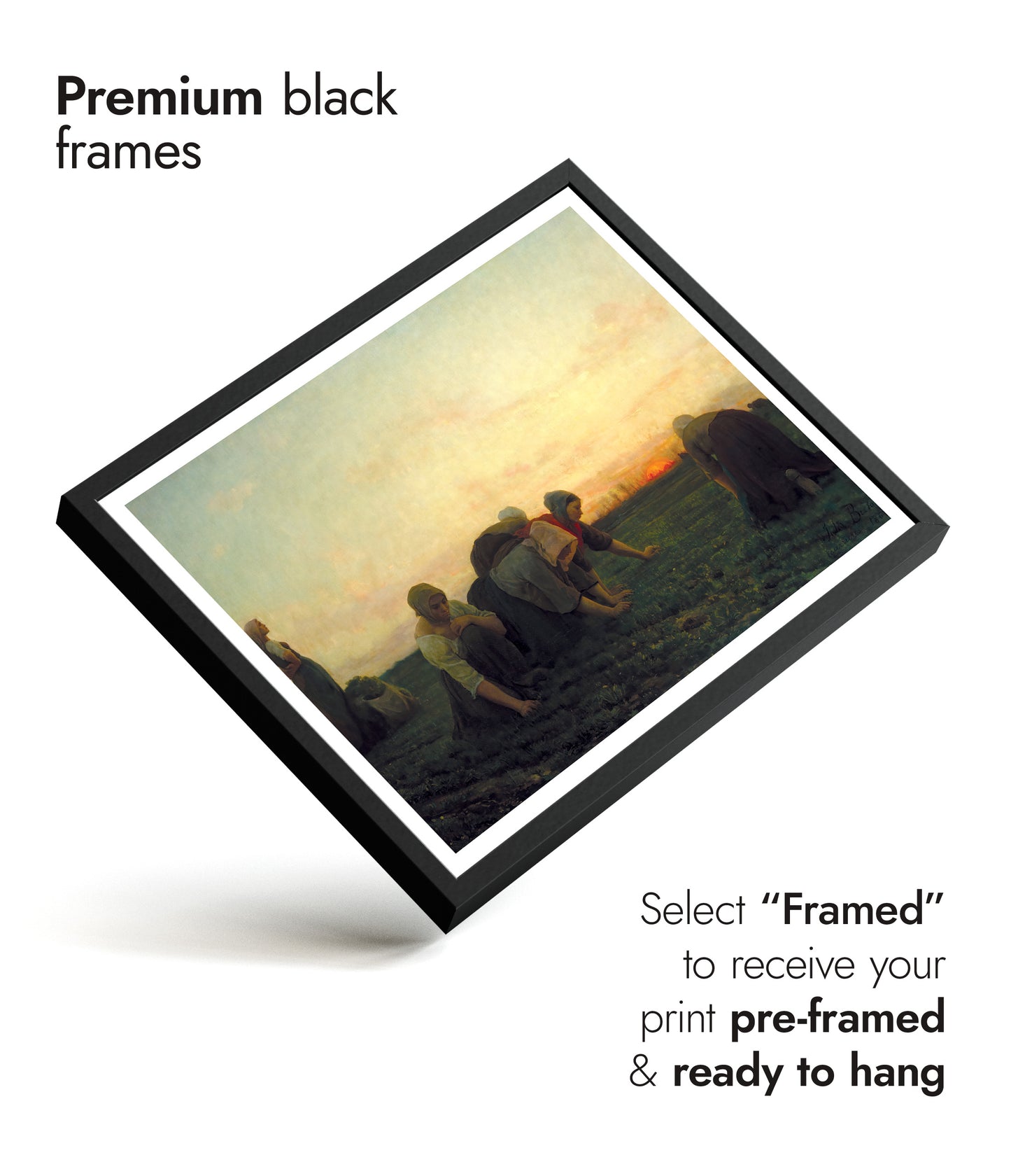 De Onkruidverdelgers