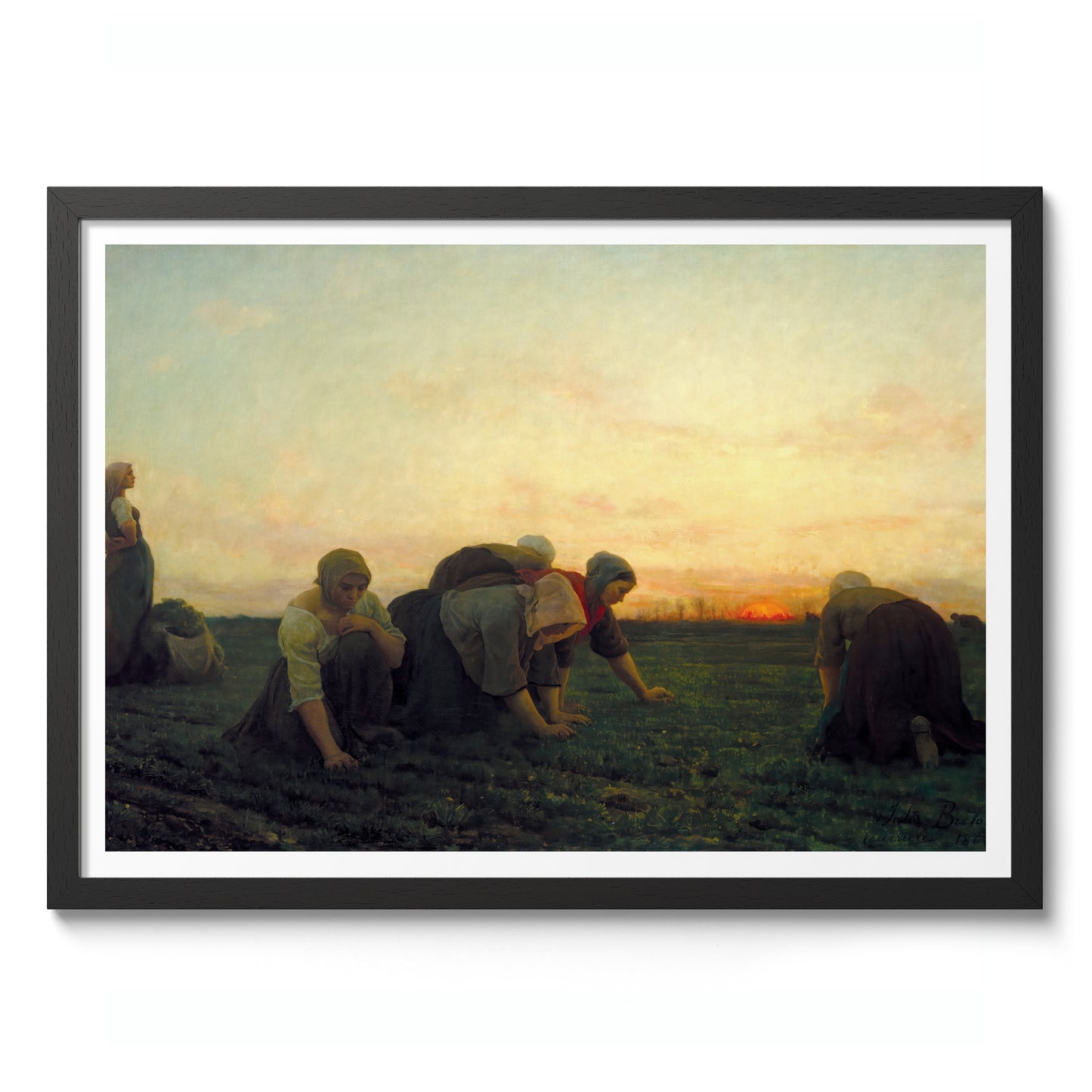 De Onkruidverdelgers